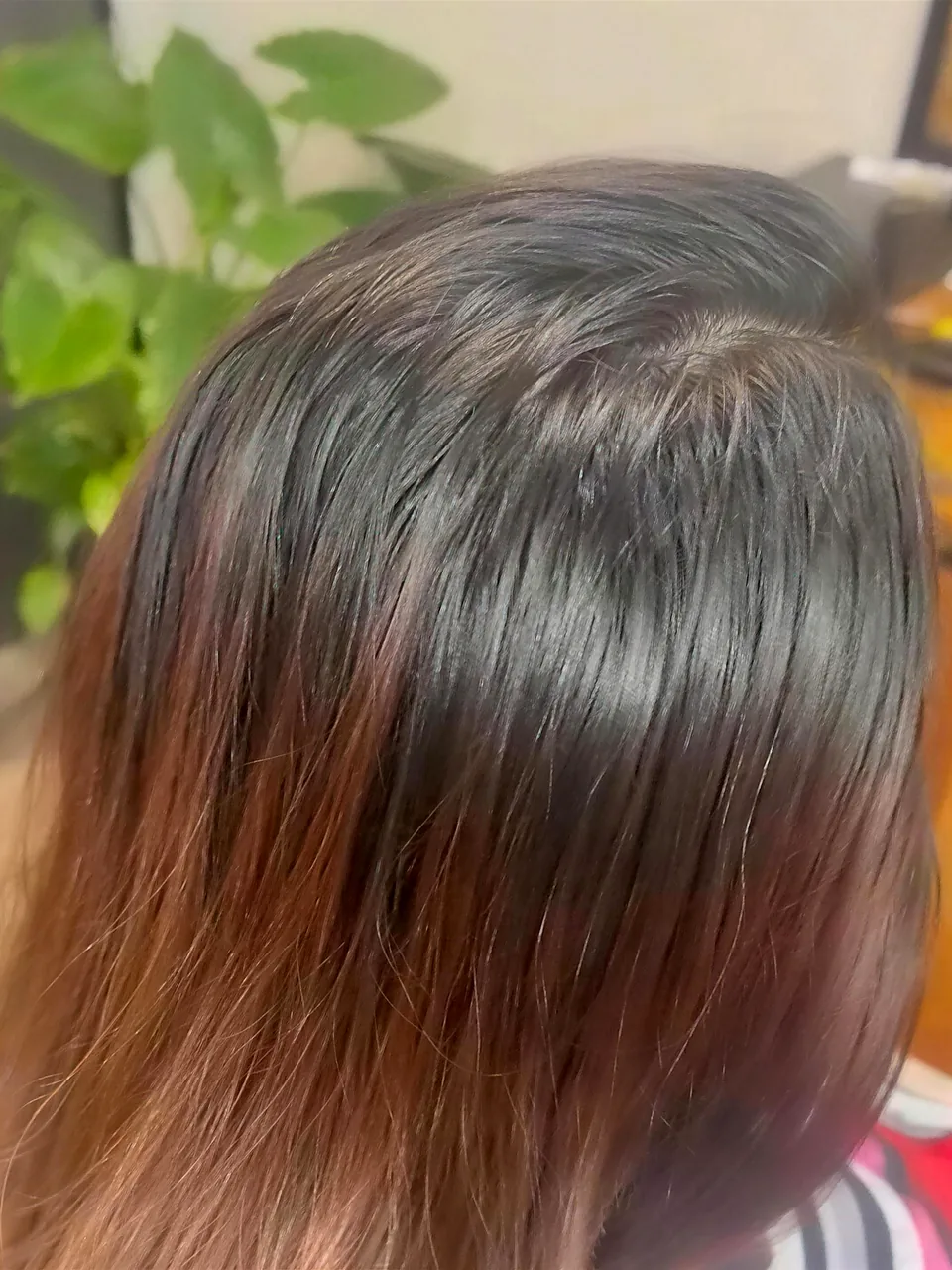 Before: grown-out roots with brassy, faded copper ends.