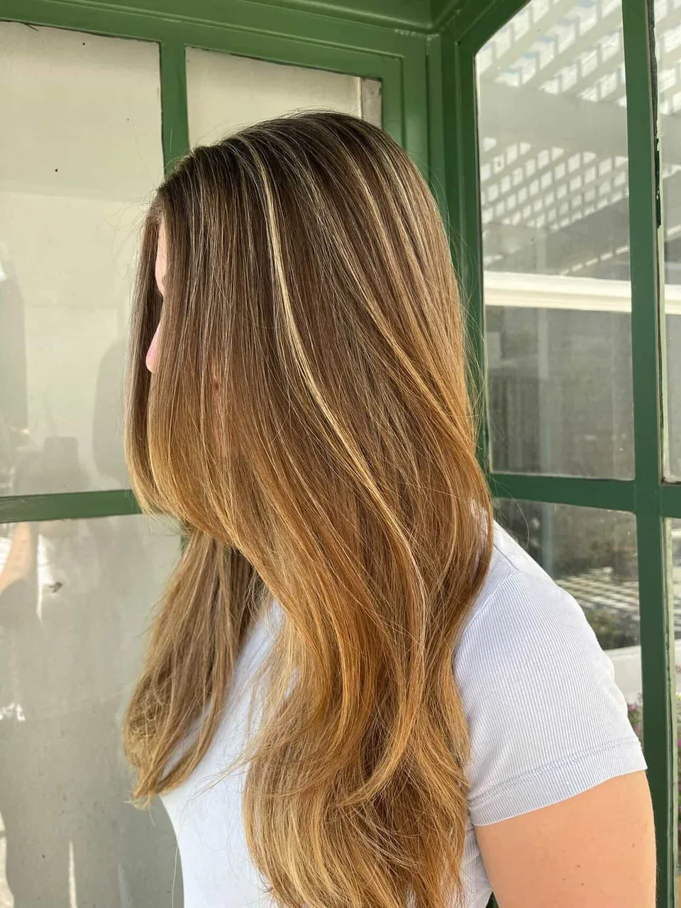 Long honey-caramel balayage with fine bright ribbons through the top, photographed in daylight.